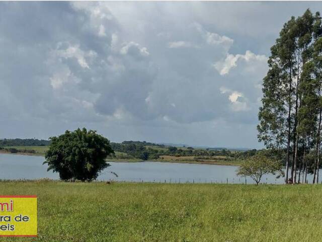 #166 - Chácara para Venda em Carlópolis - PR - 3