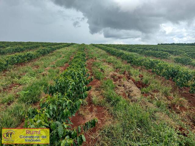 #182 - Chácara para Venda em Carlópolis - PR - 3