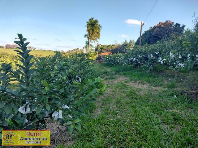 #193 - Chácara para Venda em Carlópolis - PR - 1