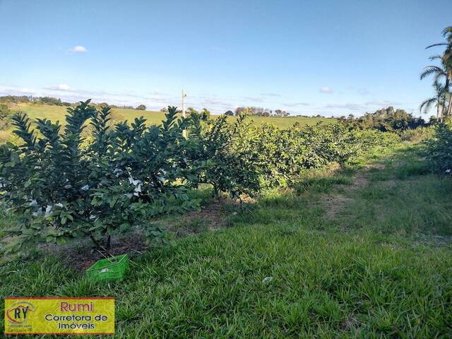 #193 - Chácara para Venda em Carlópolis - PR - 2