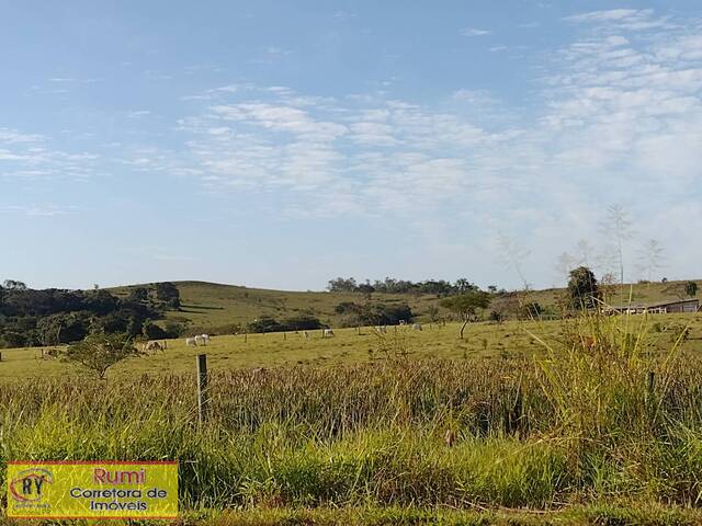 #200 - Chácara para Venda em Carlópolis - PR - 1