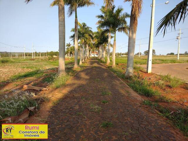 #211 - Terreno para Venda em Carlópolis - PR