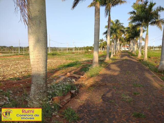 #211 - Terreno para Venda em Carlópolis - PR - 3