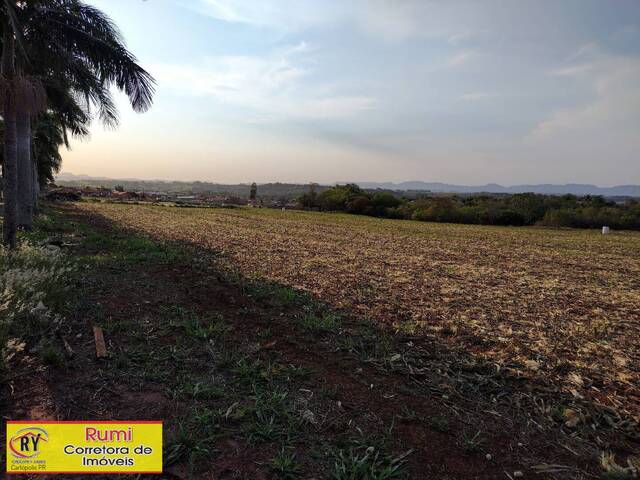 Terreno para Venda em Carlópolis - 4