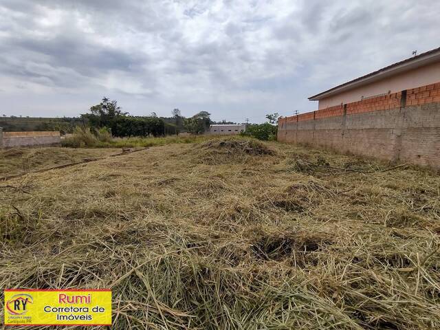 #228 - Área para Venda em Carlópolis - PR - 2