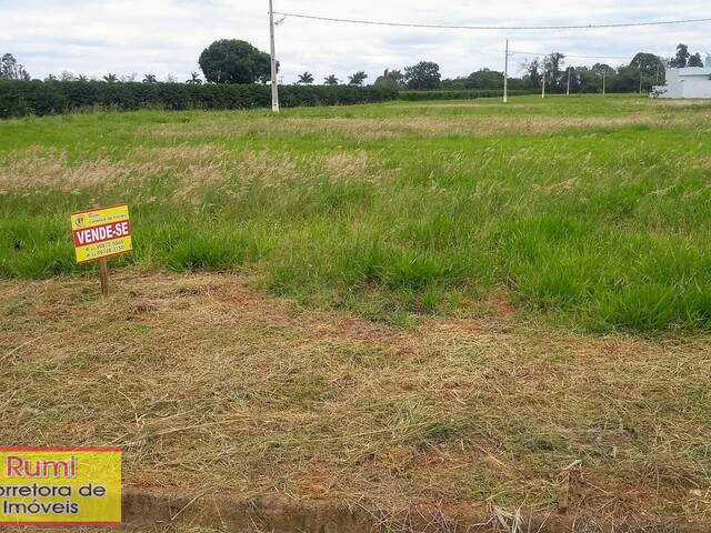 Área para Venda em Carlópolis - 1