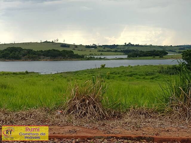 #243 - Terreno para Venda em Ribeirão Claro - PR - 1