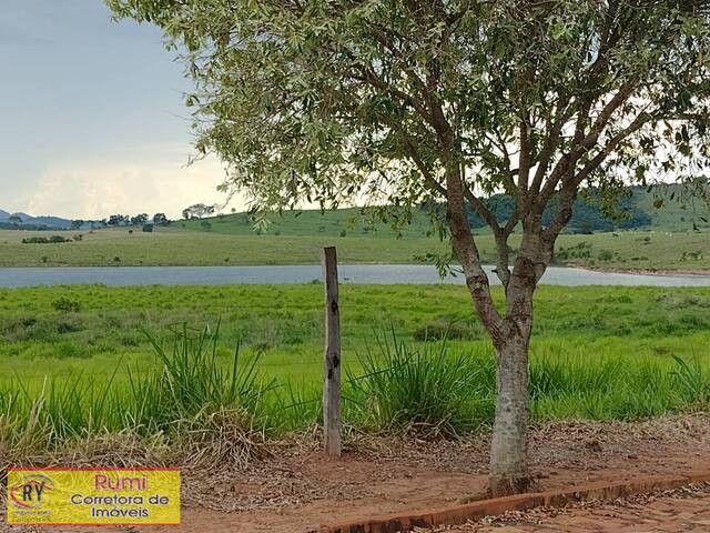 #243 - Terreno para Venda em Ribeirão Claro - PR - 2