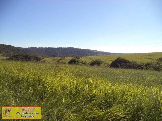 #251 - Fazenda para Venda em Carlópolis - PR - 2