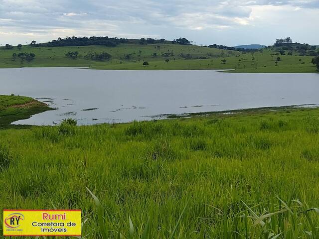 #252 - Área para Venda em Ribeirão Claro - PR - 2