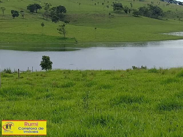 #252 - Área para Venda em Ribeirão Claro - PR - 3