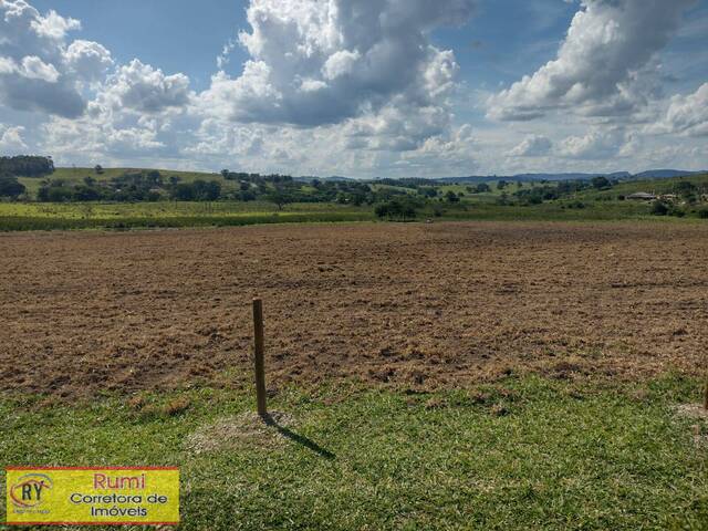 #200 - Chácara para Venda em Carlópolis - PR