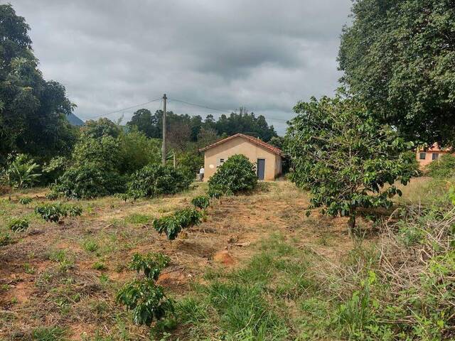 #273 - Chácara para Venda em Carlópolis - PR