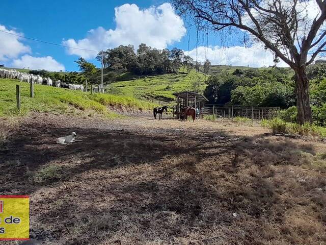 #276 - Chácara para Venda em Carlópolis - PR