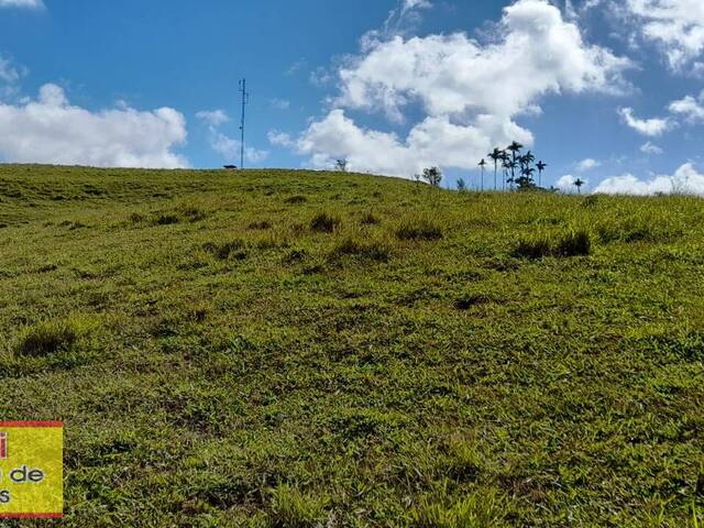 #276 - Chácara para Venda em Carlópolis - PR - 2