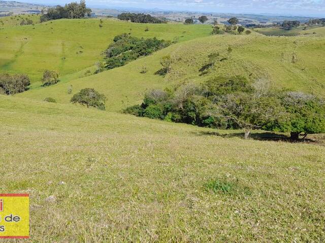 #276 - Chácara para Venda em Carlópolis - PR - 3