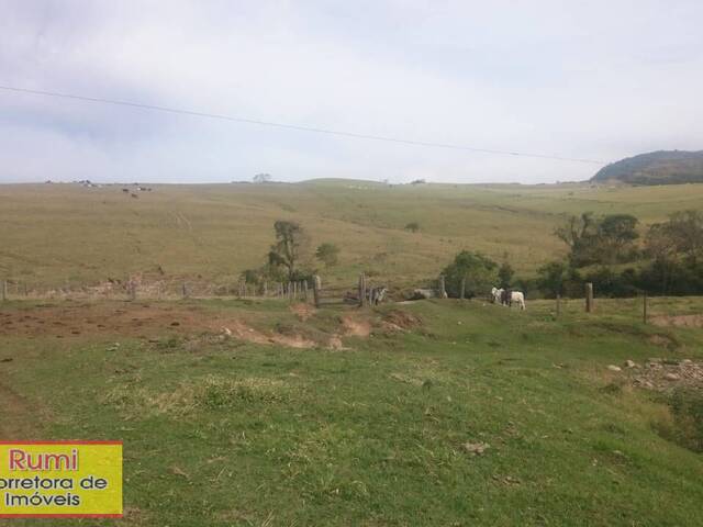 #279 - Fazenda para Venda em Ribeirão Claro - PR - 1