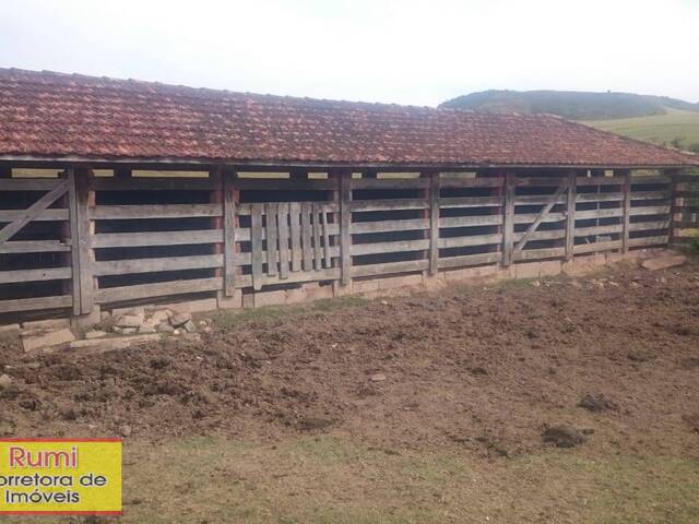 #279 - Fazenda para Venda em Ribeirão Claro - PR - 3