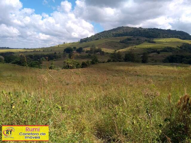 #281 - Sítio para Venda em Ribeirão Claro - PR - 1