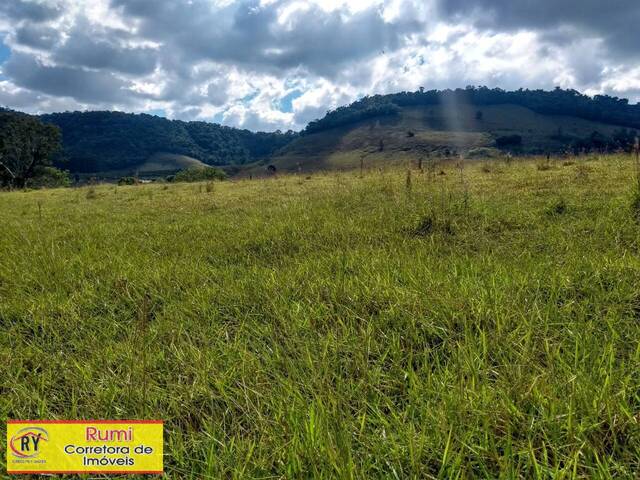 #281 - Sítio para Venda em Ribeirão Claro - PR - 3