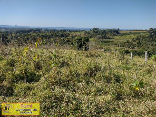 #288 - Chácara para Venda em Carlópolis - PR - 3