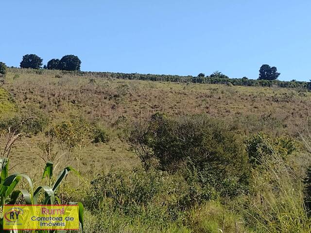 #288 - Chácara para Venda em Carlópolis - PR - 1