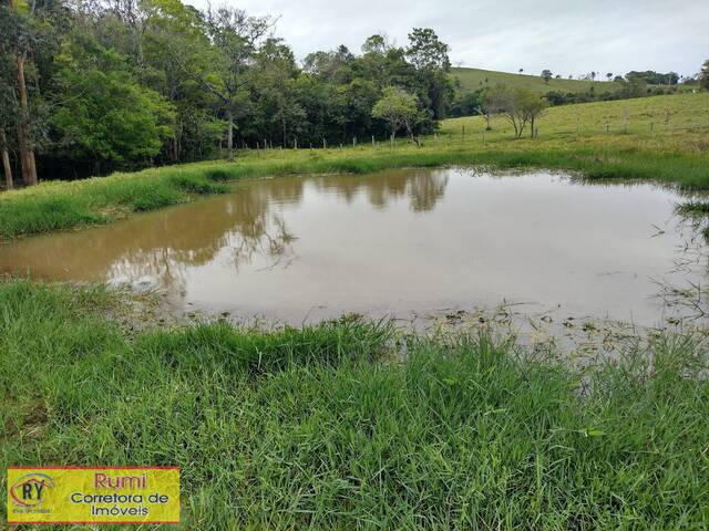 #289 - Chácara para Venda em Carlópolis - PR - 2