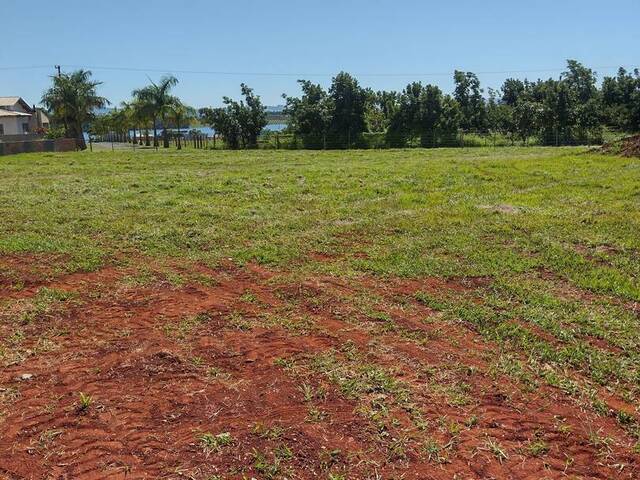 #316 - Terreno para Venda em Carlópolis - PR - 3