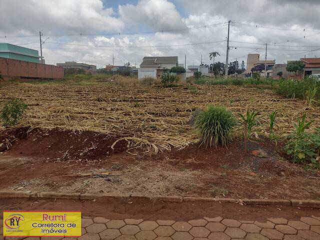 #332 - Terreno para Venda em Carlópolis - PR - 1