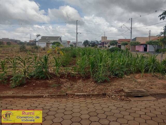 #333 - Área para Venda em Carlópolis - PR - 2