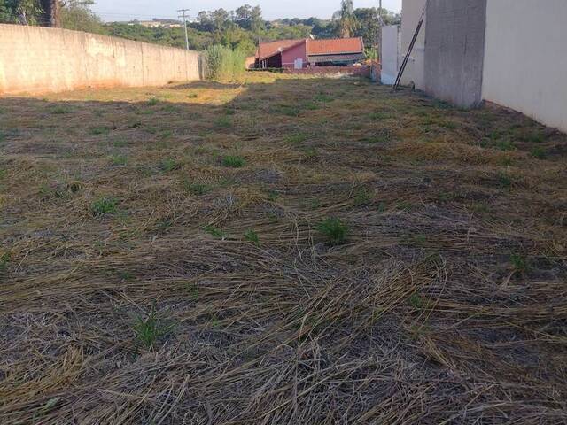 #347 - Terreno para Venda em Carlópolis - PR - 2