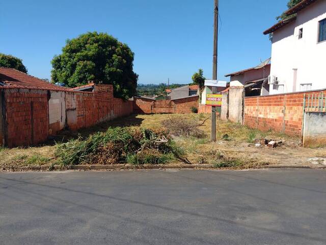 #348 - Terreno para Venda em Carlópolis - PR - 1