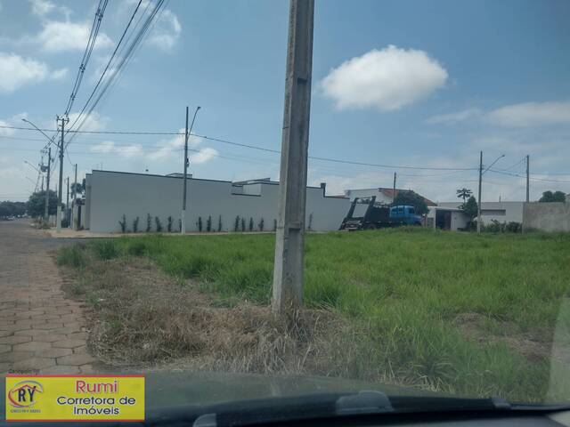 #350 - Terreno para Venda em Carlópolis - PR - 1