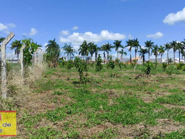 #354 - Área para Venda em Carlópolis - PR - 1