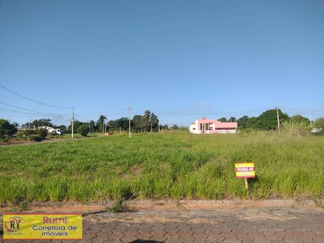 #358 - Terreno para Venda em Carlópolis - PR - 2