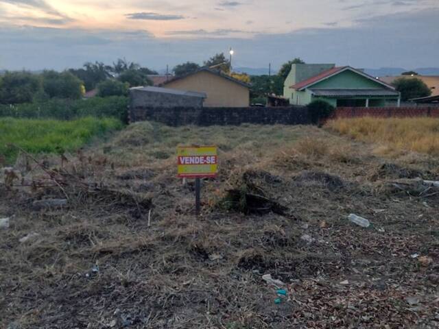 #359 - Terreno para Venda em Carlópolis - PR - 3