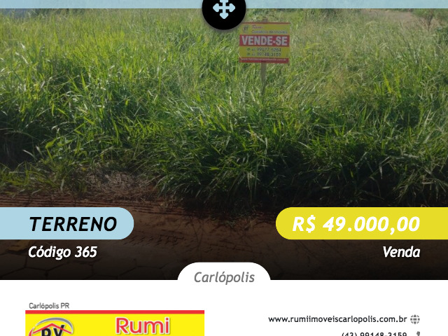 #365 - Terreno para Venda em Carlópolis - PR - 1