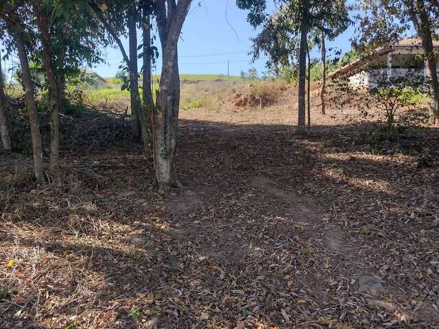 #368 - Terreno para Venda em Ribeirão Claro - PR - 3