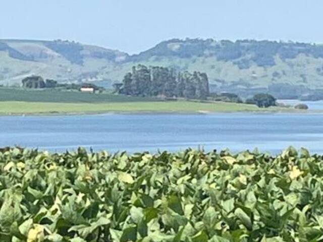 #372 - Fazenda para Venda em Fartura - SP - 2