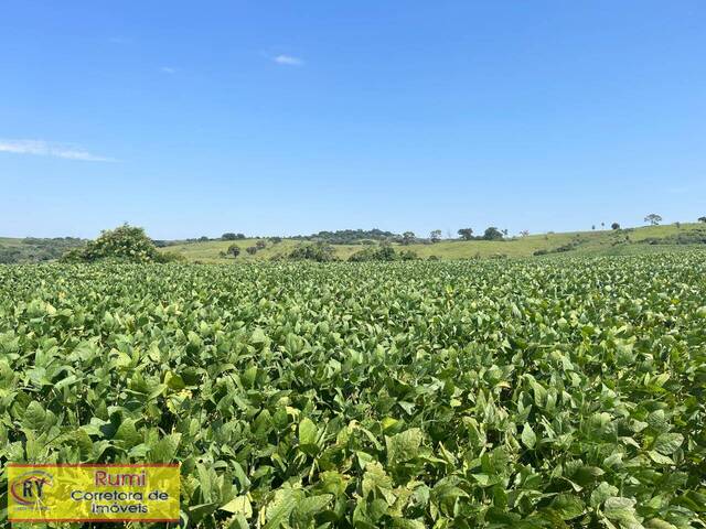 #372 - Fazenda para Venda em Fartura - SP - 3