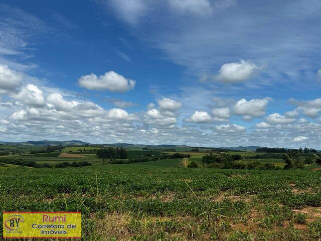 #379 - Fazenda para Venda em Carlópolis - PR - 2