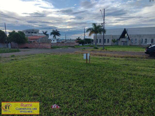 #387 - Terreno para Venda em Carlópolis - PR