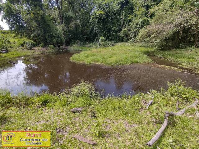 #390 - Chácara para Venda em Carlópolis - PR - 3