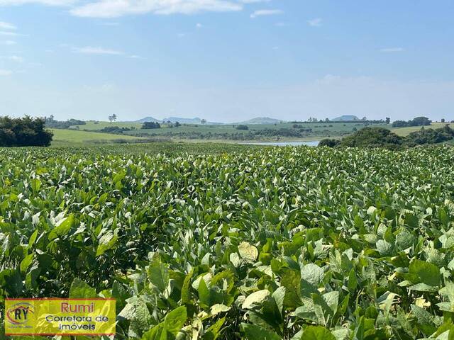 #397 - Fazenda para Venda em Fartura - SP - 2