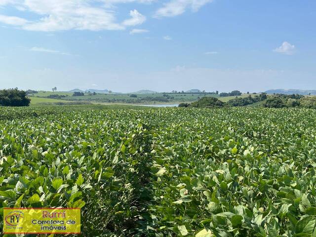 #397 - Fazenda para Venda em Fartura - SP - 3